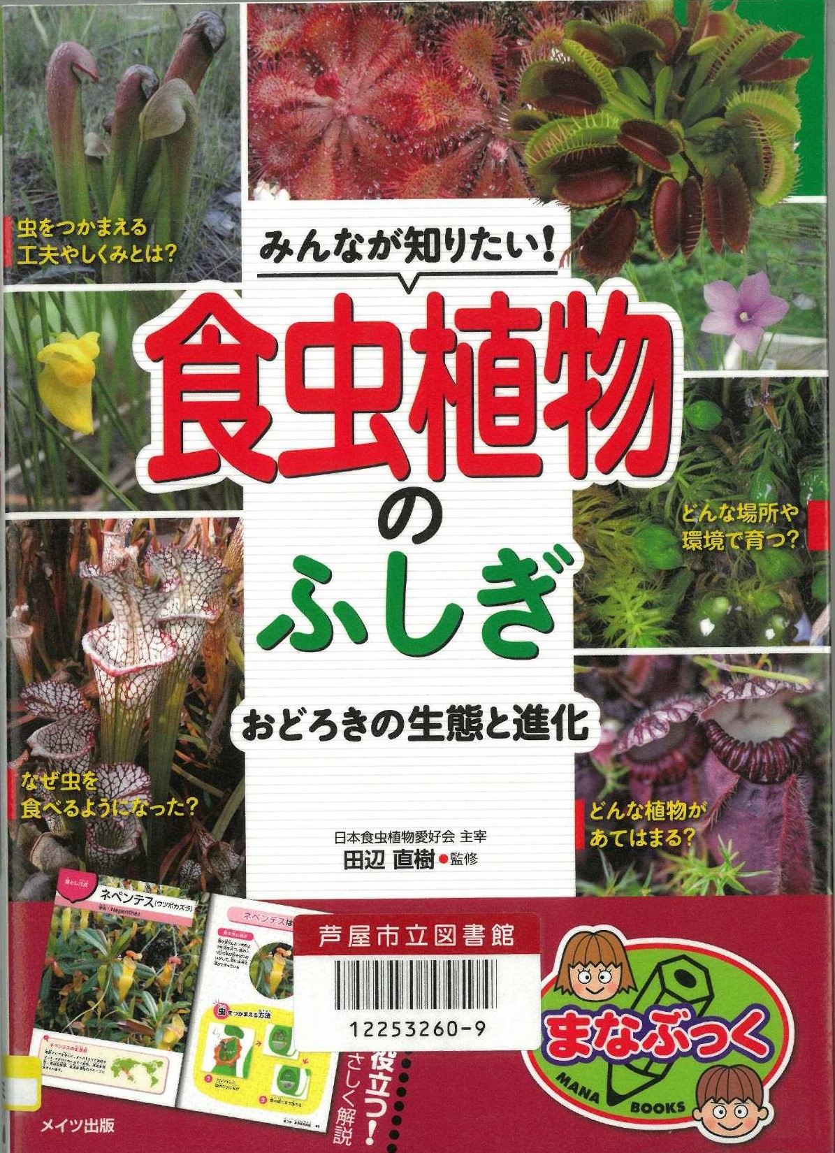 みんなが知りたい！食虫植物のふしぎ おどろきの生態と進化 表紙